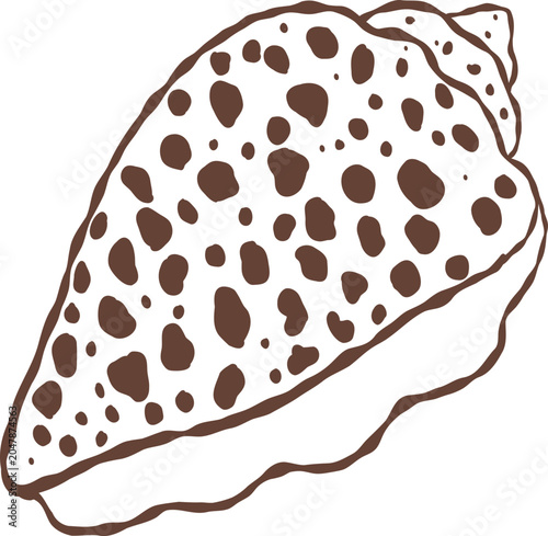 Cute hand drawn leopard cowrie seashell with ribbon bow outline illustration