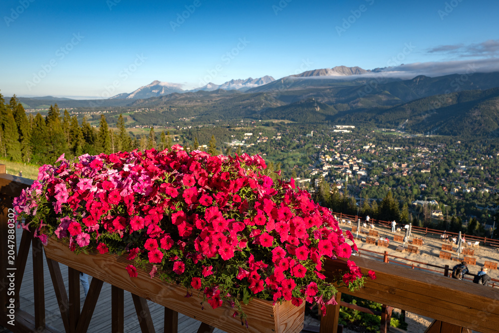 Obraz premium Red surfinia flowers on balcony with Tatra mountains view