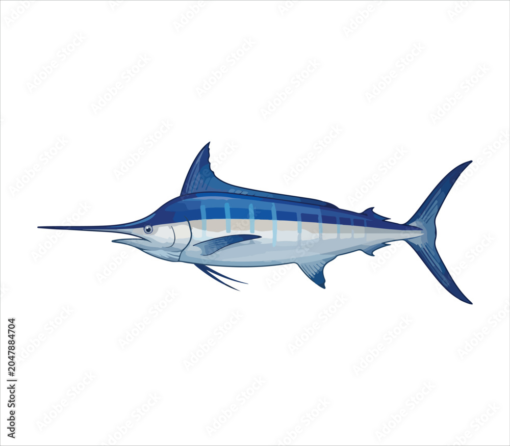 Fototapeta premium Blue marlin fish swimming in ocean water large marine animal