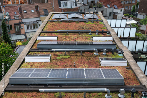 Green roof with solar panels and sustainable vegetation
