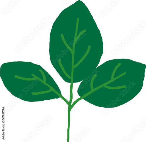 Green Three-Leaf Clover Illustration
This hand-drawn illustration depicts a green three-leaf clover. A fresh botanical design symbolizing nature, good luck, growth, and harmony. Perfect for stickers, 