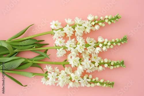 stylist and royal Small white flowers on pastel pink background.