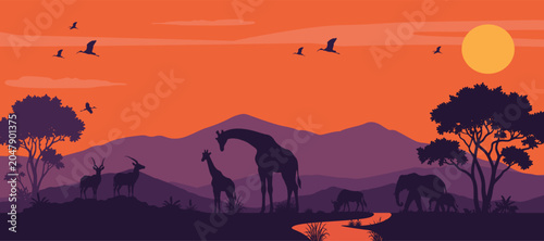 Photography African Savannah Wildlife with Giraffes, Elephants and Antelopes at Sunset