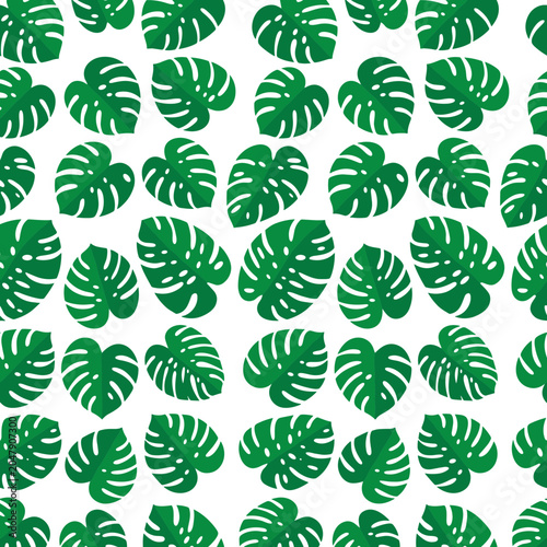 Seamless tropical green monstera leaf pattern background in minimalist style
