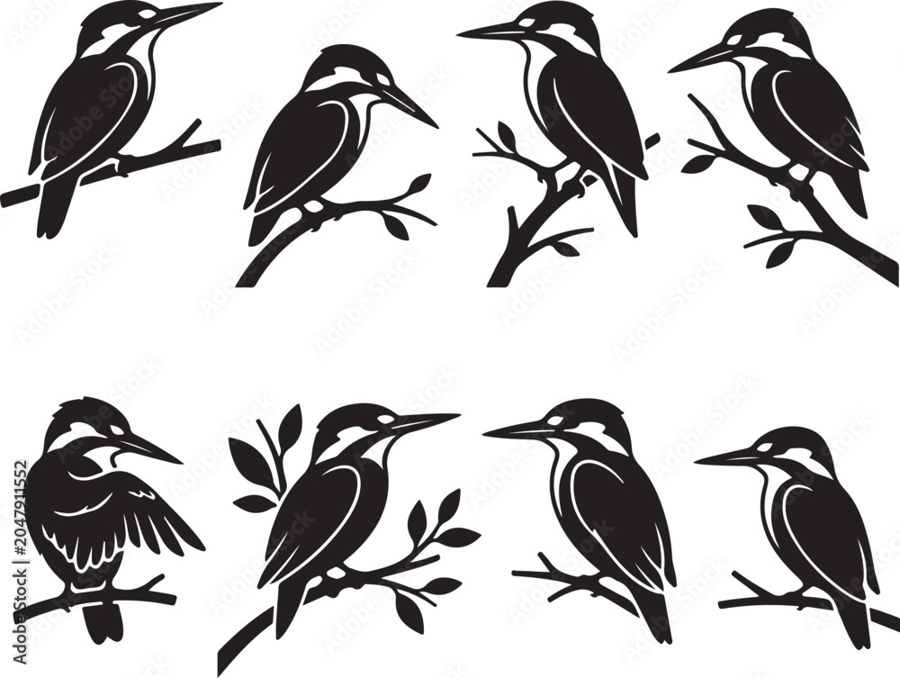Fototapeta premium Kingfisher silhouette set. Black bird on branch vector. Minimalist wildlife icon. Kingfisher bird collection. Animal silhouette graphic. Nature silhouette. Kingfisher flat design. Vector bird art.