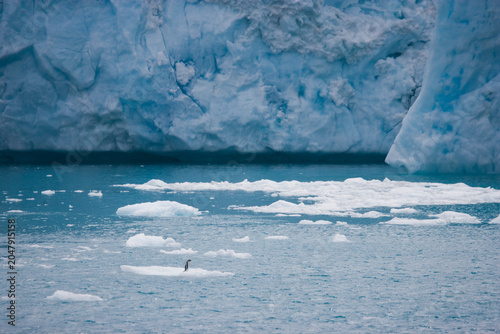 Quadro em tela Adelie penguin alone on an ice floe in the southern ocean