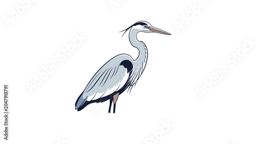 Tableau sur toile Illustration of a grey heron standing still.