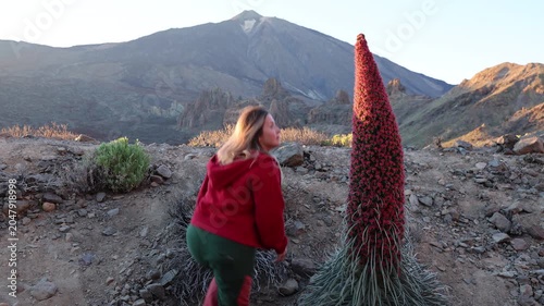 A woman is amazed by red tajinaste flower with Mount Teide in the background