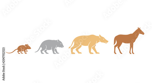 Photos Evolution of Horse: From Small Mammal to Equine Species