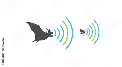 Foto Bat using echolocation to hunt insect on white background