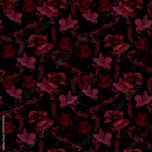 Fotografie Seamless pattern with deep red whimsy flowers on a dark black background