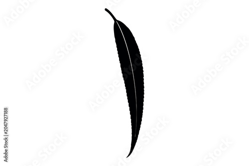 Canvas-taulu Silhouette of a single elongated leaf against a white background