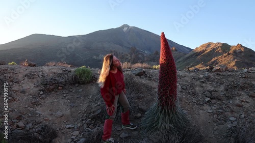 A woman is looking at the red tajinaste flower with Mount Teide in the background