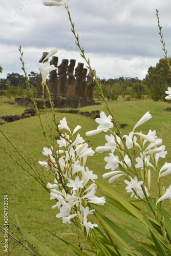 Moai Statues and Volcanic Landscapes of Rapa Nui, Chile