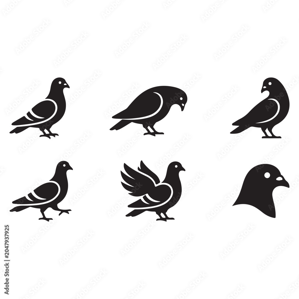 Fototapeta premium Pigeon Bird Vector Illustration Isolated on White Background