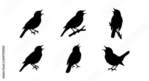 Bild auf Leinwand Singing Bird Silhouettes Vector Set: Avian Wildlife Icons, Nature Sound Graphics