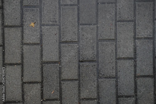 Wet grey paving slabs texture close up after rain.