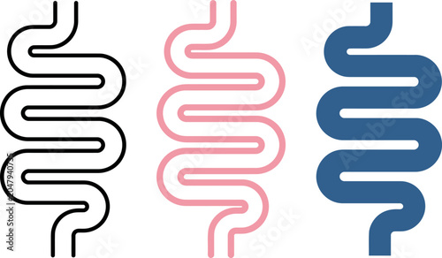 Intestine or colon illustration in three different styles