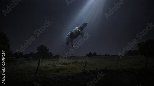 Cow Being Lifted By Mysterious Light At Night