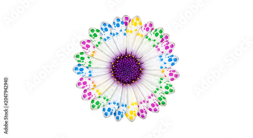 Vibrant radial burst with multicolored floral and geometric petals around a central dark circle