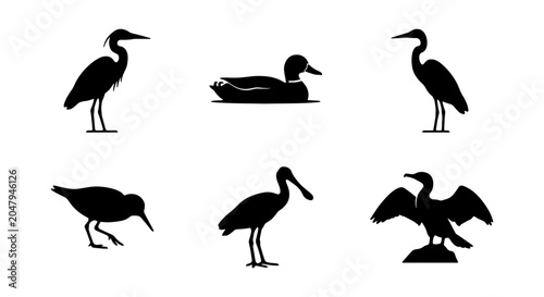 Photos Diverse Bird Silhouettes Collection: Heron, Duck, Ibis, Cormorant, Shorebird Vec