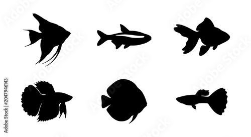 Cuadro en lienzo Diverse Aquarium Fish Silhouettes, Vector Set: Angelfish, Betta, Goldfish, Guppy