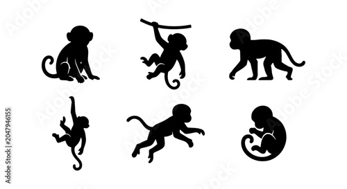 Photography Monkey Silhouettes Vector Set: Primate Poses, Jungle Animals, Wildlife Graphics,