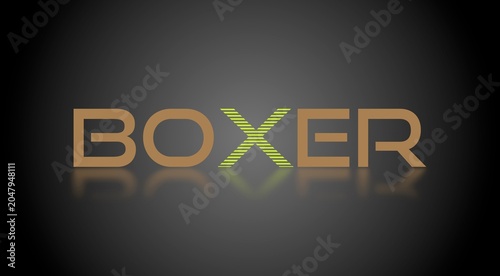 Testo BOXER con font variabile e sfondo colorato