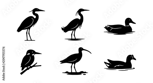 Bilde på lerret Diverse Bird Silhouettes Collection: Heron, Crane, Duck, Kingfisher, Wading Bird