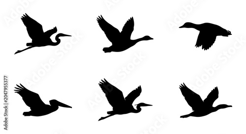 Fotografie Silhouette Bird Collection: Flying Herons, Ducks, and Pelicans, Minimalist Vecto