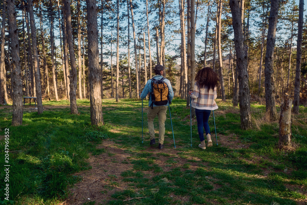 Fototapeta premium Couple with backpacks and trekking poles walking on a dirt path through a sunlit pine forest, actively exploring the outdoors and embracing wellness during an adventure