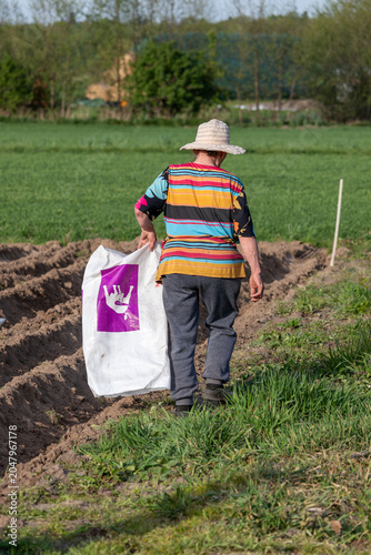 Senior woman farmer wearing straw hat carrying big white plastic bag while walking on plowed soil field preparing for planting crops during sunny spring day.