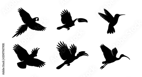 Tablou pe pânză Silhouette Bird Collection: Flying Parrot, Toucan, Hummingbird, Ibis, and More V