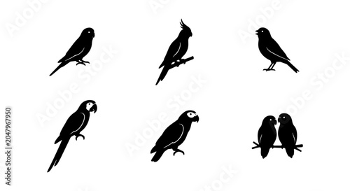 Fotografi Black Bird Silhouettes Vector Set: Exotic Parrots, Cockatoo, Finch, Lovebirds Co