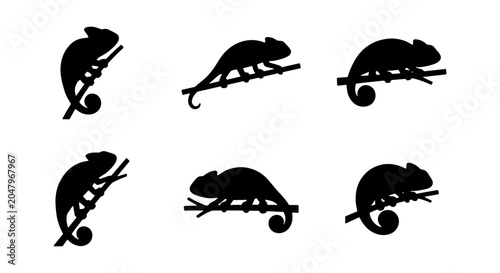 Fotografija Chameleon Silhouettes Vector Set, Reptile Icons Collection, Wildlife Animal Grap