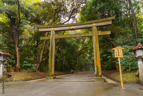 Obraz na plátně Large wooden torii gate entrance to Meiji Jingu shrine, Tokyo Japan