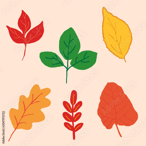 Set of autumn leaves from different tree species.
Collection of colorful autumn leaves in red, yellow, orange, and green shades. Botanical illustration featuring leaves from various trees, perfect for