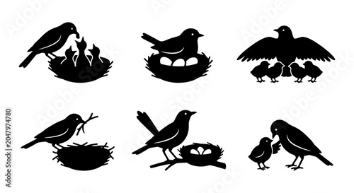 Bild auf Leinwand Bird Family Silhouettes: Nesting, Feeding, Parental Care Icons Set, Vector Graph