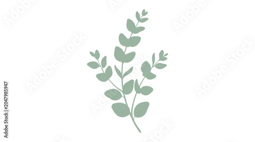 Foto Eucalyptus leaves on a stem.