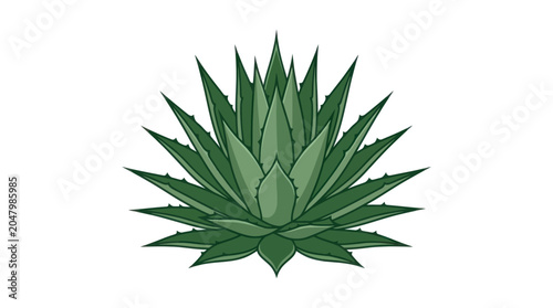 Photos Green Agave Plant Closeup View.