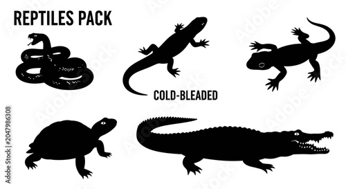 Canvas Print Reptiles Pack Silhouettes Cold Bleeded.