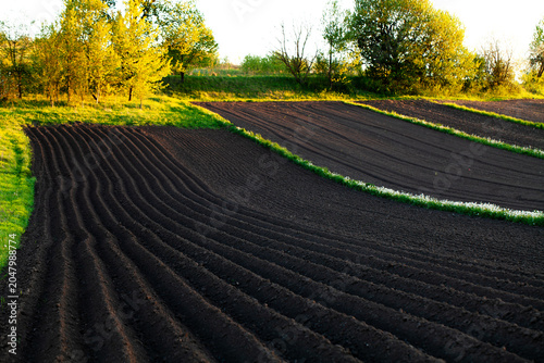 Foto Cultivating fertile soil for early spring planting season