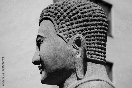 Stone Buddha Statue Profile Close Up