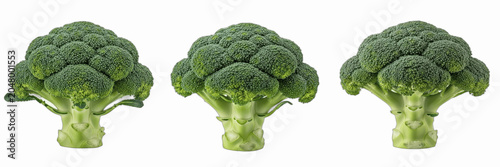 Tableau sur toile Isolated set of fresh organic green broccoli head florets on white background, r
