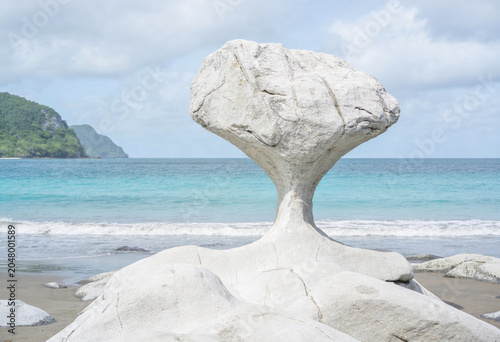 Unique mushroom-shaped limestone rock formation on a tropical sand beach, weathered white coastal stone sculpture.