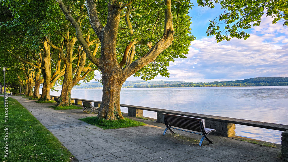 Obraz premium Mettnau Park in Radolfzell at Lake Constance with Plane Trees and Lakeside Promenade on a Summer Day