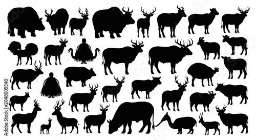 Konstfotografi Collection of various animal silhouettes standing.