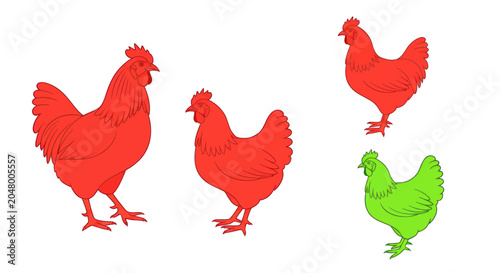 Foto Colorful chickens standing together outside farm.