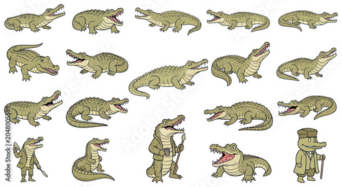 Crocodiles and Alligators Various Species.