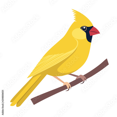 Yellow cardinal bird illustration on a branch